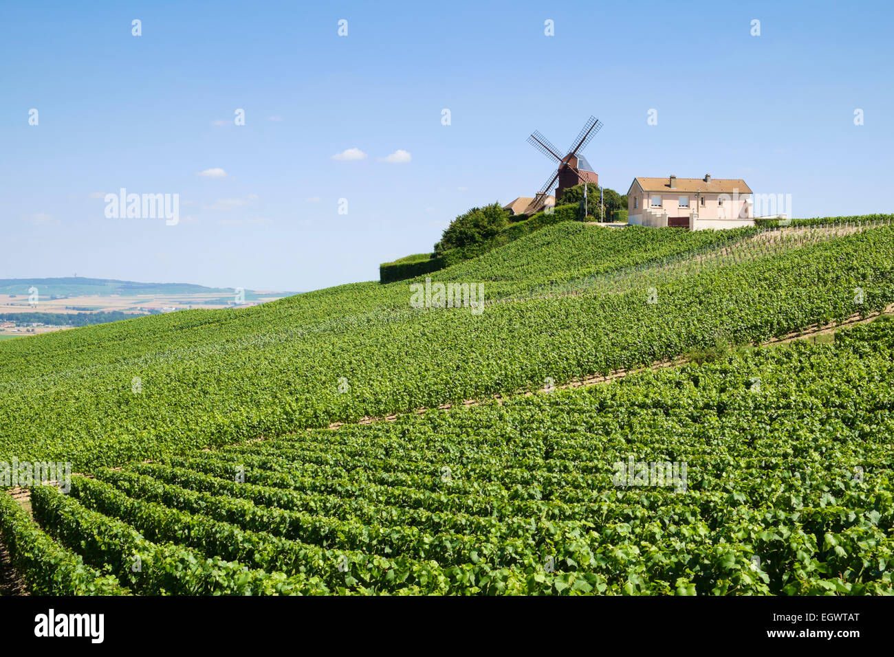 Die Region Champagne, Frankreich - Moulin de Verzenay - eine berühmte Windmühle über die Weinberge im Sommer Stockfoto