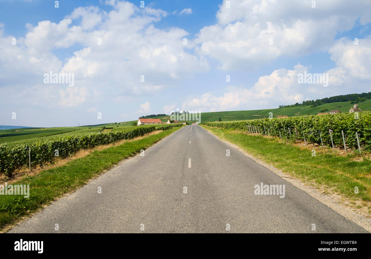 Straße auf dem Champagner-Trail zwischen Festigny und Leuvigny Dörfer in Champagne, Frankreich Stockfoto