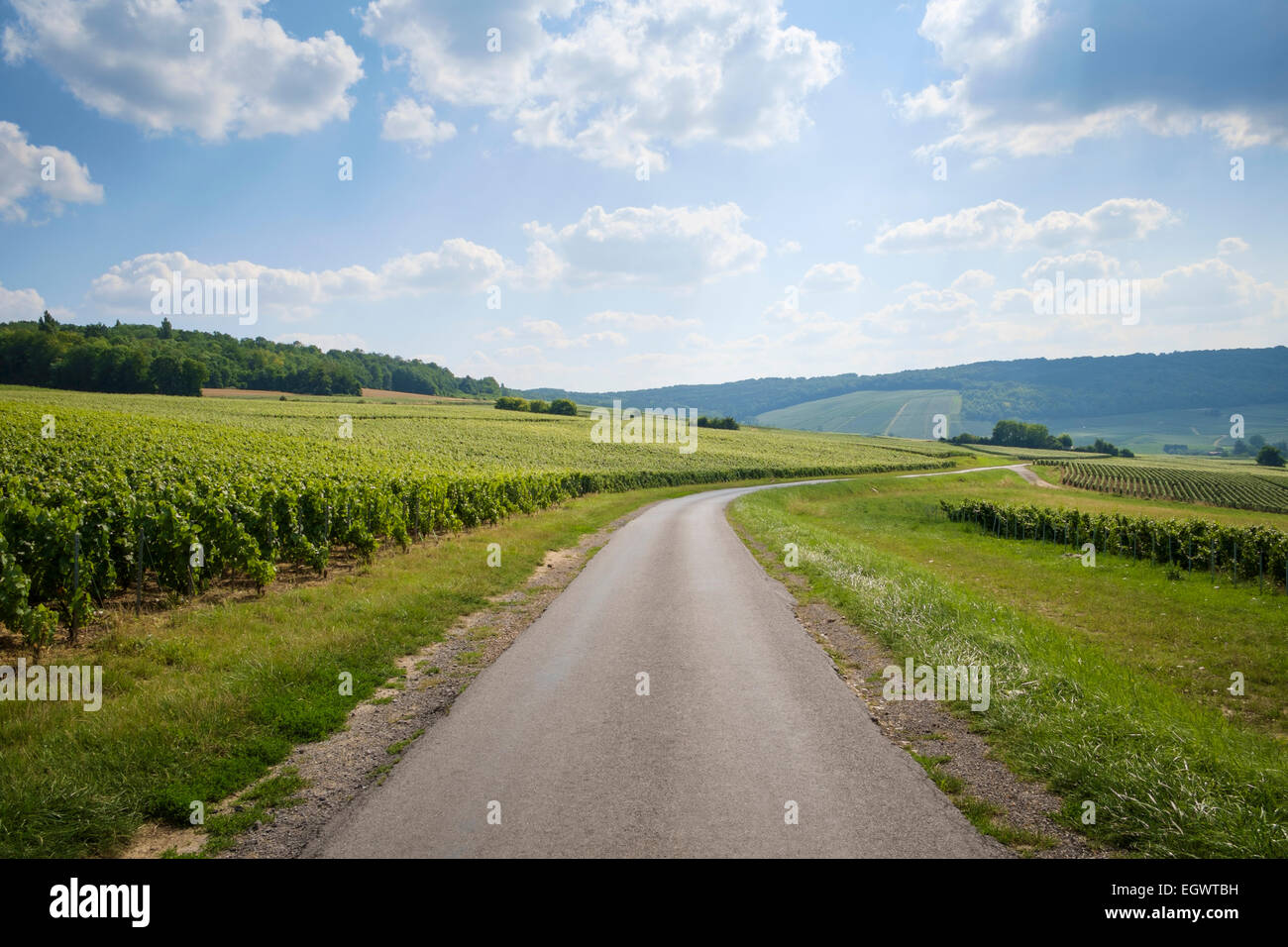 Straße auf dem Champagner-Trail zwischen Festigny und Leuvigny Dörfer in Champagne, Frankreich Stockfoto