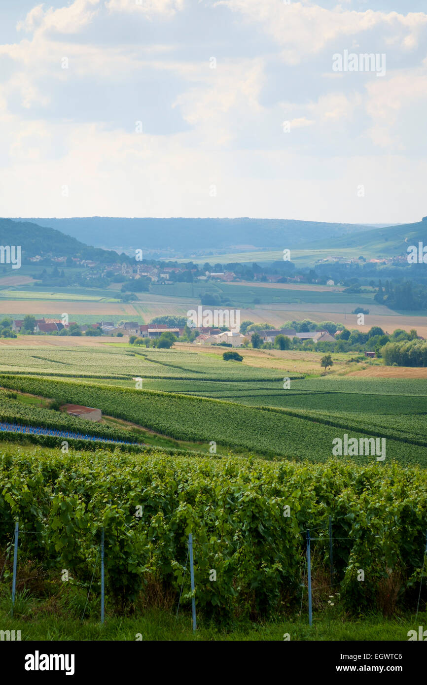 Weinberge und Dörfer in der Champagne, Frankreich, Europa Stockfoto