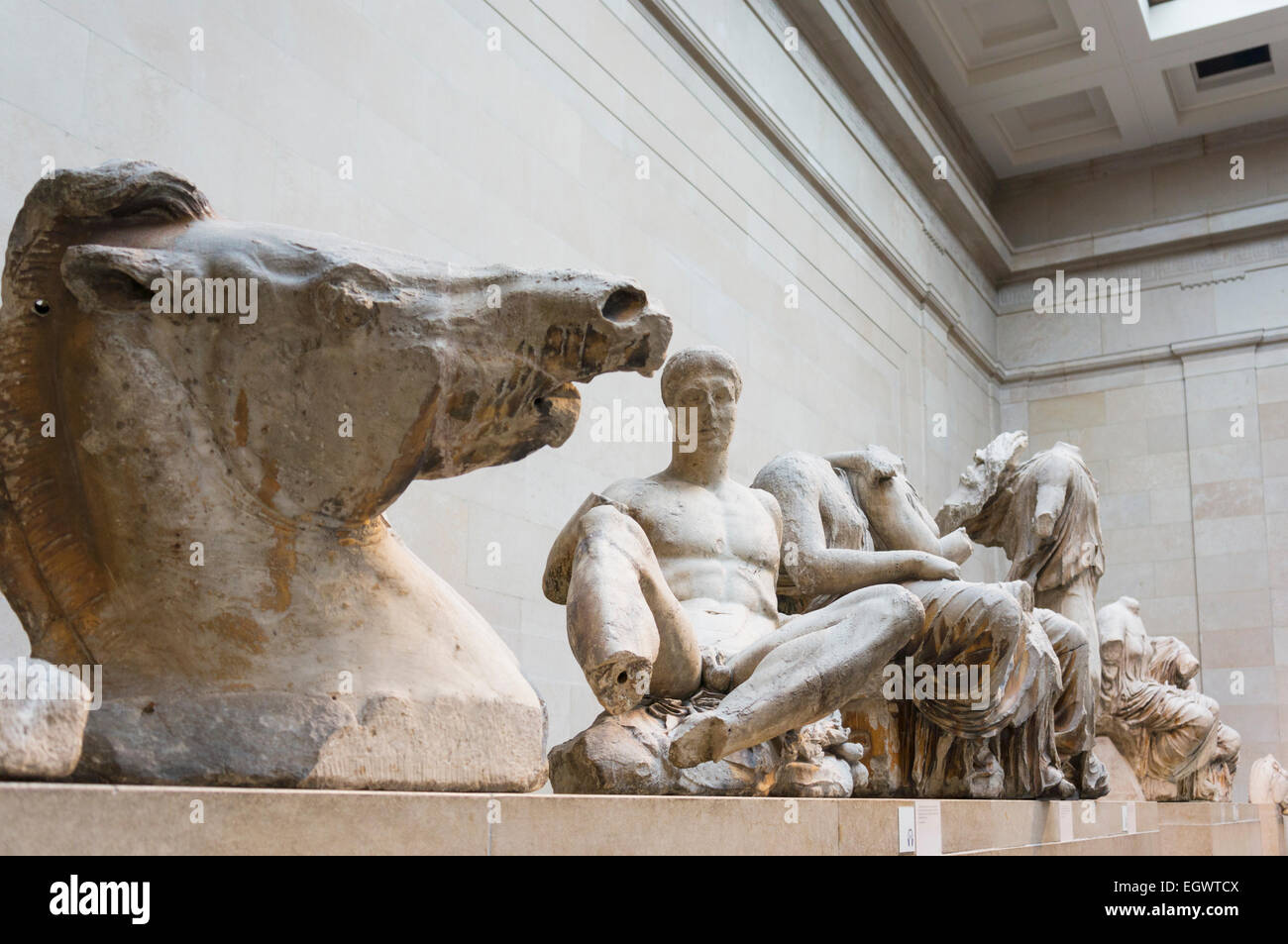 Die Elgin Marbles im British Museum, London, England, UK Stockfoto