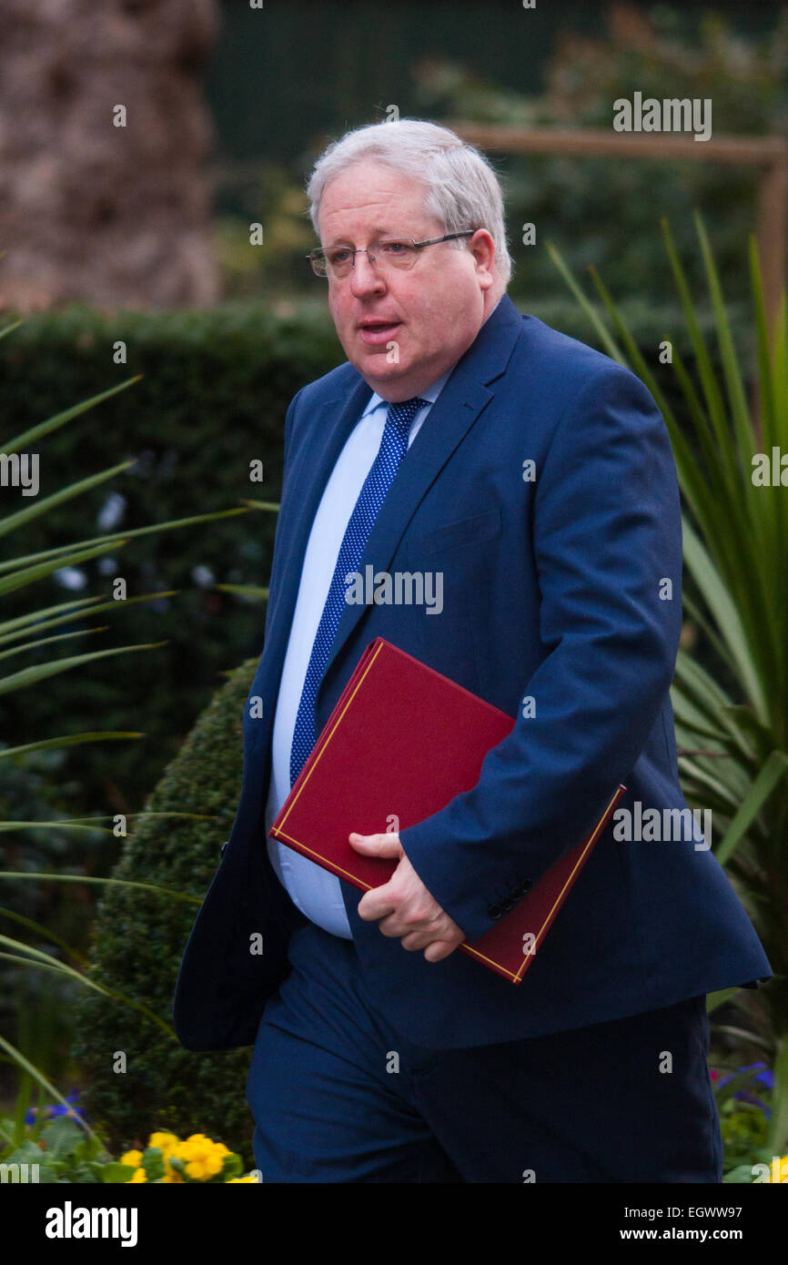 London, 3. März 2015. Mitglieder des Kabinetts kommen in 10 Downing Street für ihre wöchentlichen Treffen. Im Bild: Verkehrsminister Patrick McLoughlin Credit: Paul Davey/Alamy Live-Nachrichten Stockfoto