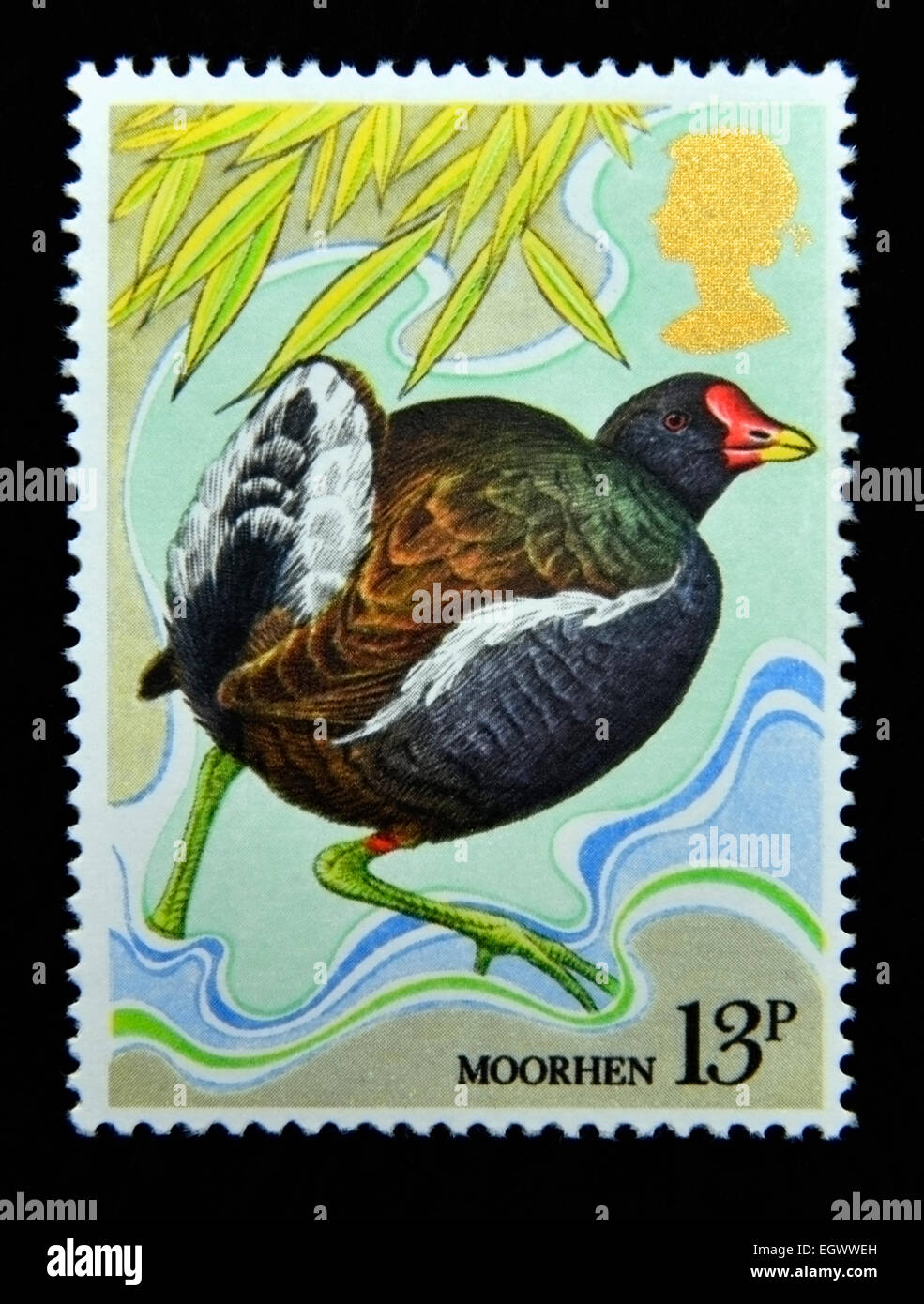 Briefmarke. Great Britain. Königin Elizabeth II. 1980. Hundertjahrfeier des Wild Bird Protection Act. Teichhuhn. 13p. Stockfoto