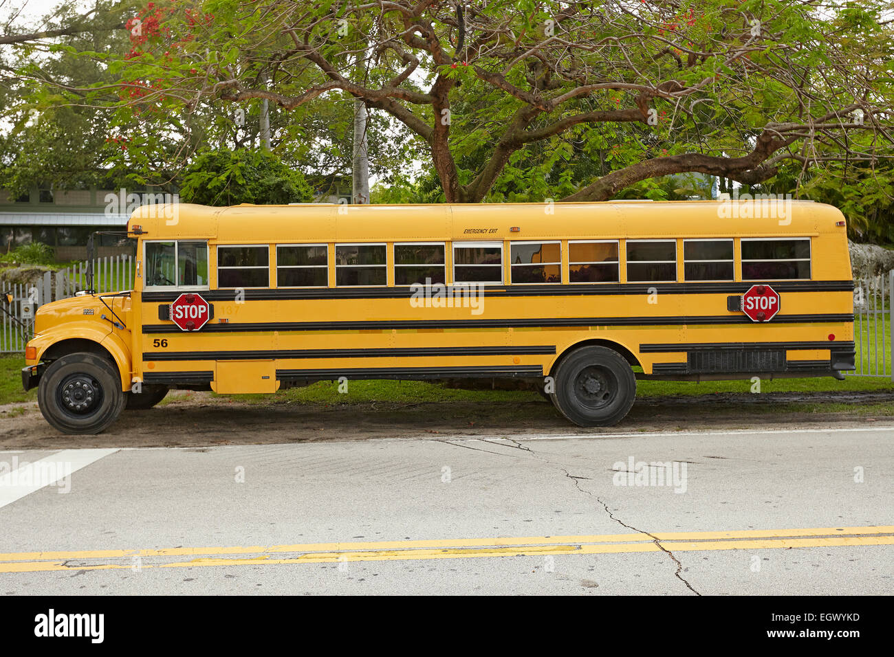 Amerikanischen Schulbus Stockfoto