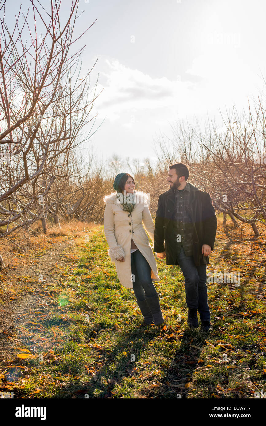 Zwei Menschen, ein paar gehen in einem Obstgarten im Winter. Stockfoto