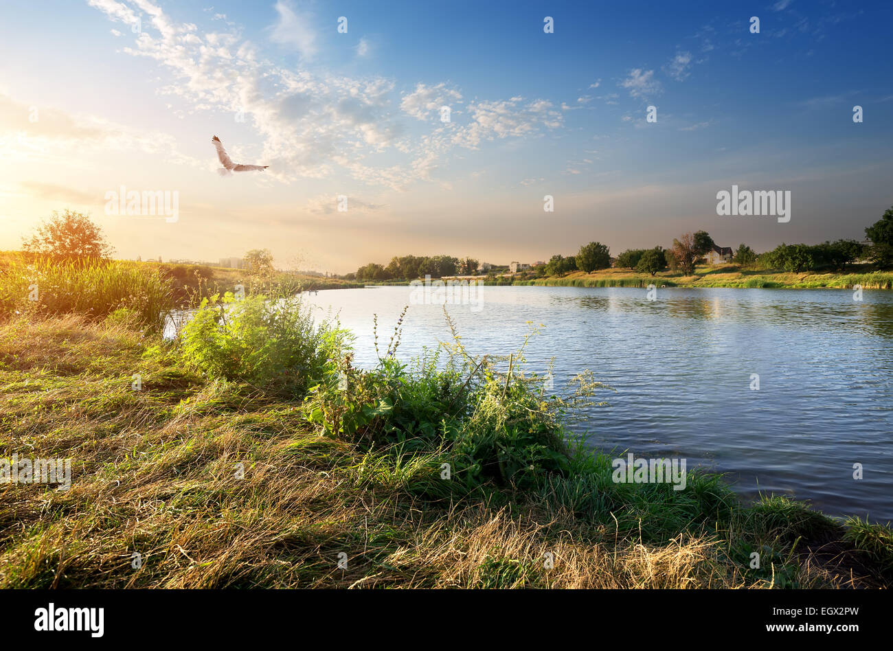 Riesenvogel über Fluss bei Sonnenuntergang Stockfoto