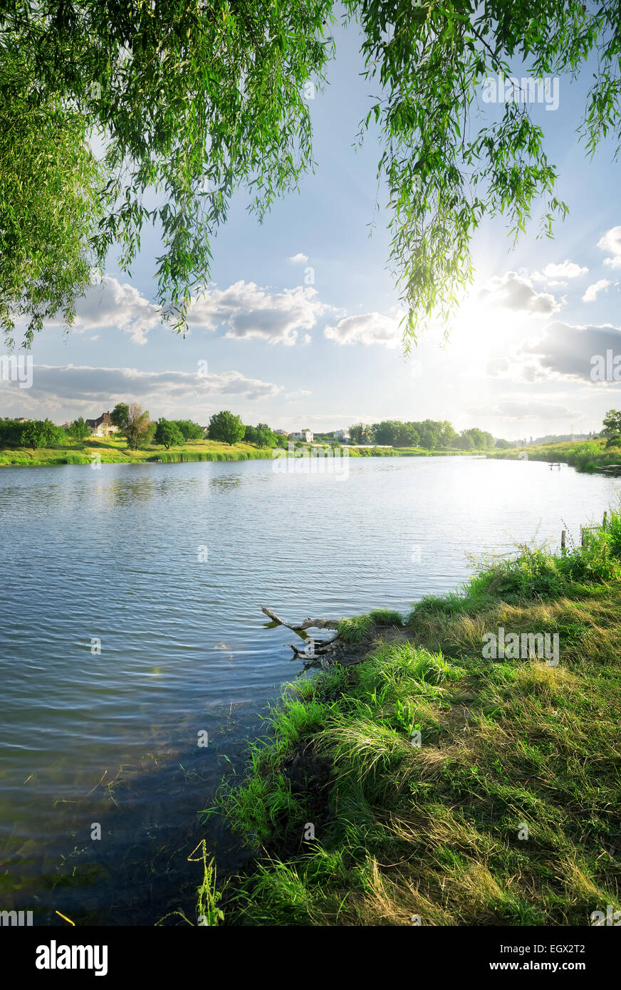 Green Grass in der Nähe von ruhiger Fluss im Sommer Stockfoto