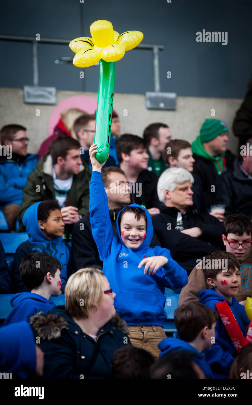 London Welsh Rugby-Fans feiert am St. Davids Tag (1. März 2015) und winken aufblasbare Narzissen Stockfoto