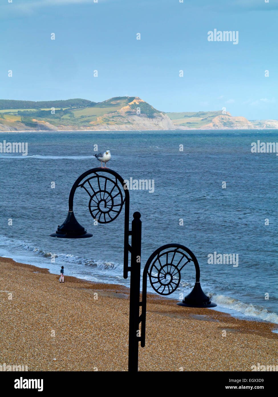 Möwe ruht auf Laternenpfahl bei Lyme Regis ein Badeort auf der Süd-West Küste von England UK Stockfoto