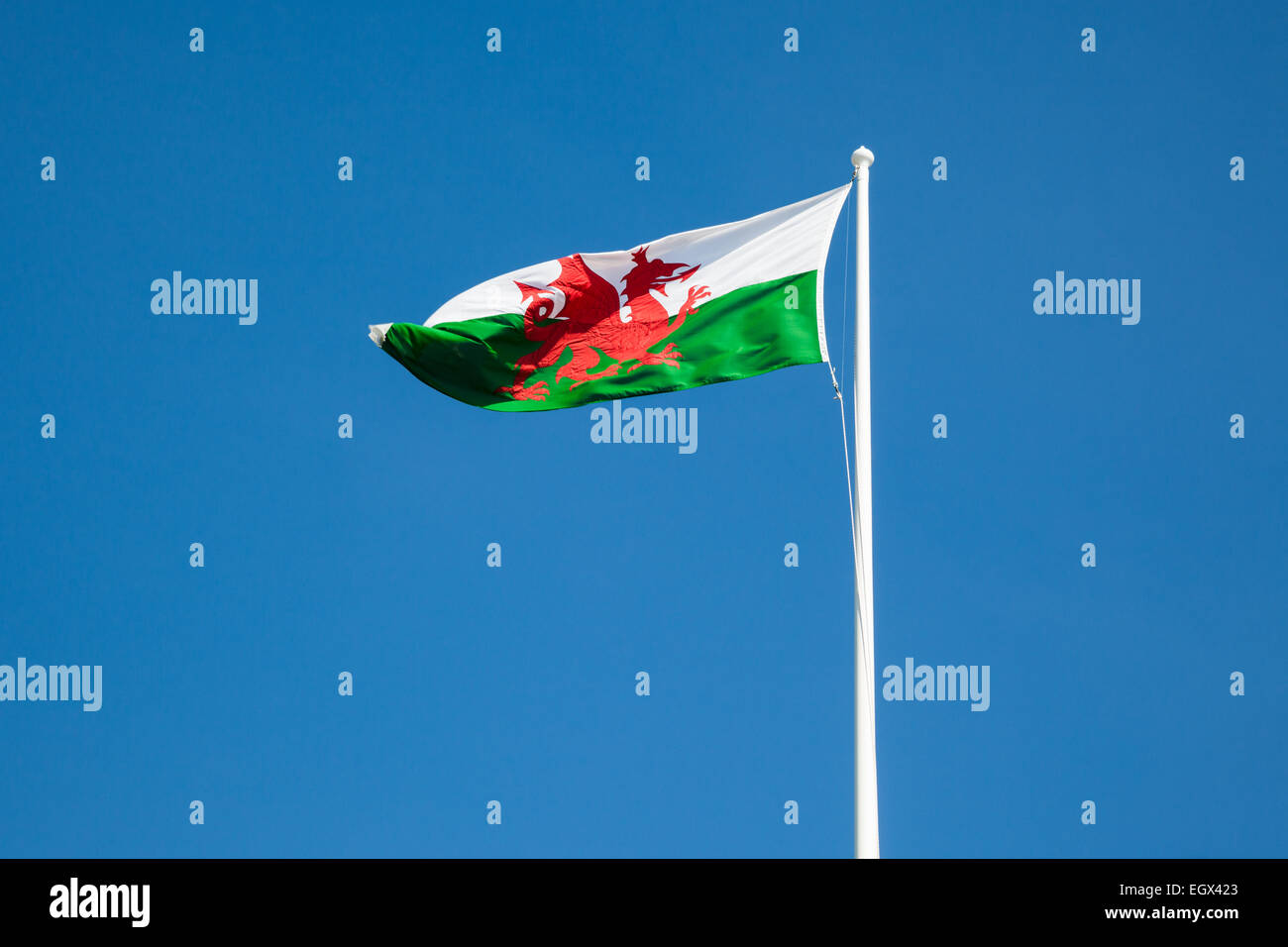 Walisische Flagge vor einem blauen Himmel, UK Stockfoto