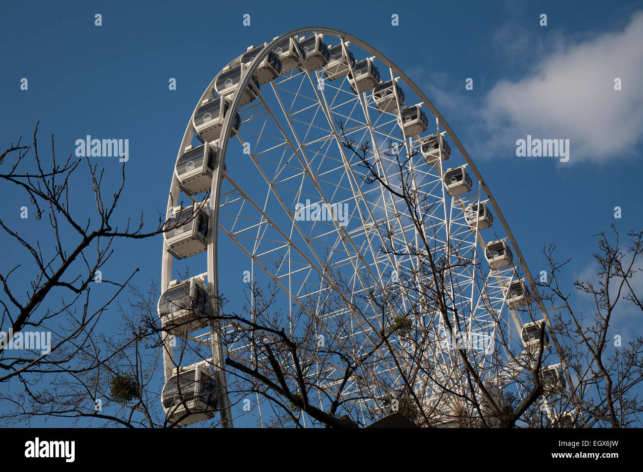 Budapest-Eye Riesenrad Stockfoto