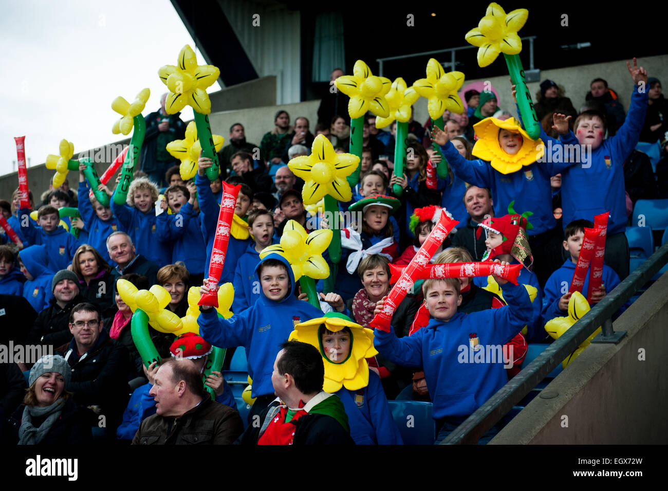 London Welsh Rugby-Fans feiert am St. Davids Tag (1. März 2015) und winken aufblasbare Narzissen Stockfoto
