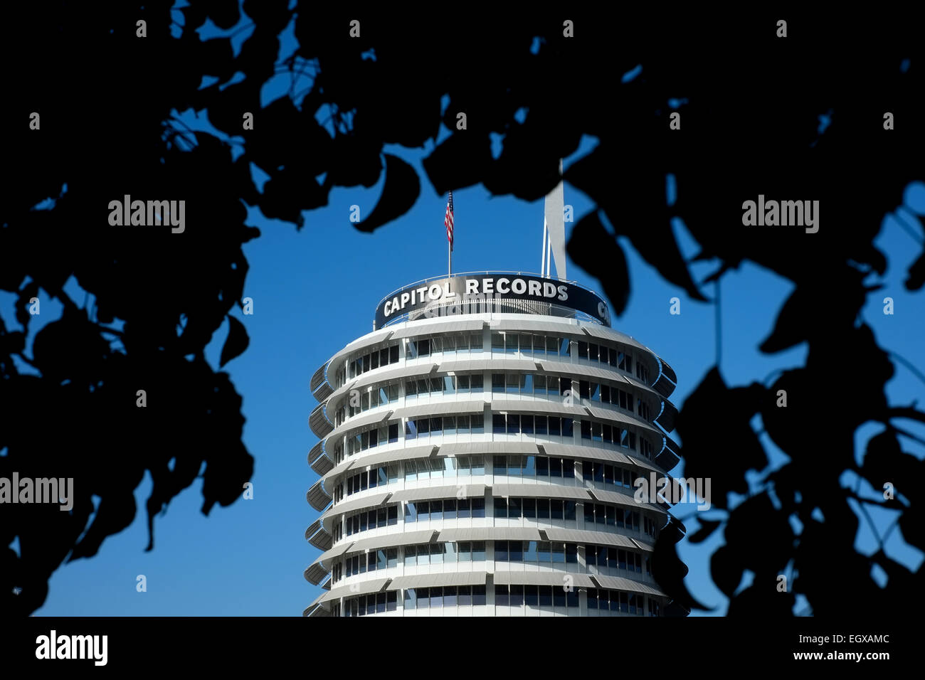Das Kapitol-Aufzeichnungen Gebäude umrahmt von Bäumen in Hollywood, Los Angeles, Kalifornien Stockfoto