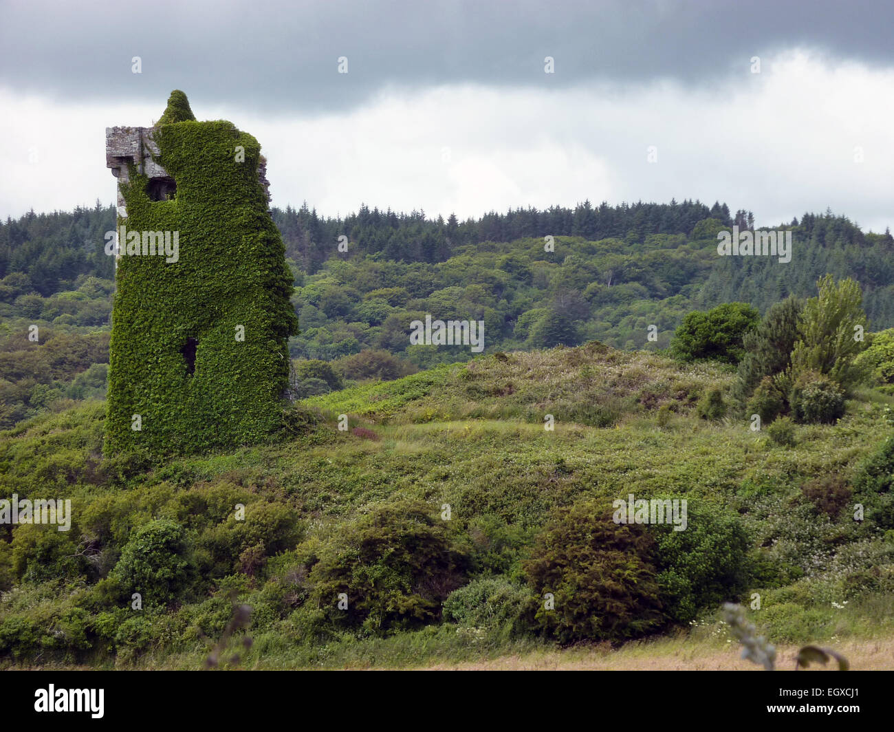 O' Mahoney Burg Rineen, West Cork, Irland Stockfoto