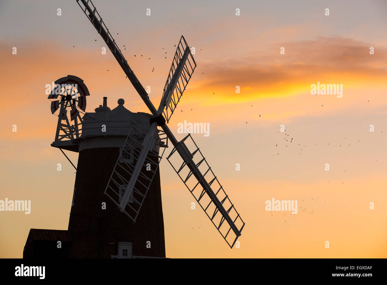 Eine Windmühle bei Cley Next am Meer, North Norfolk, UK, bei Sonnenuntergang mit Kiebitze fliegen vorbei. Stockfoto