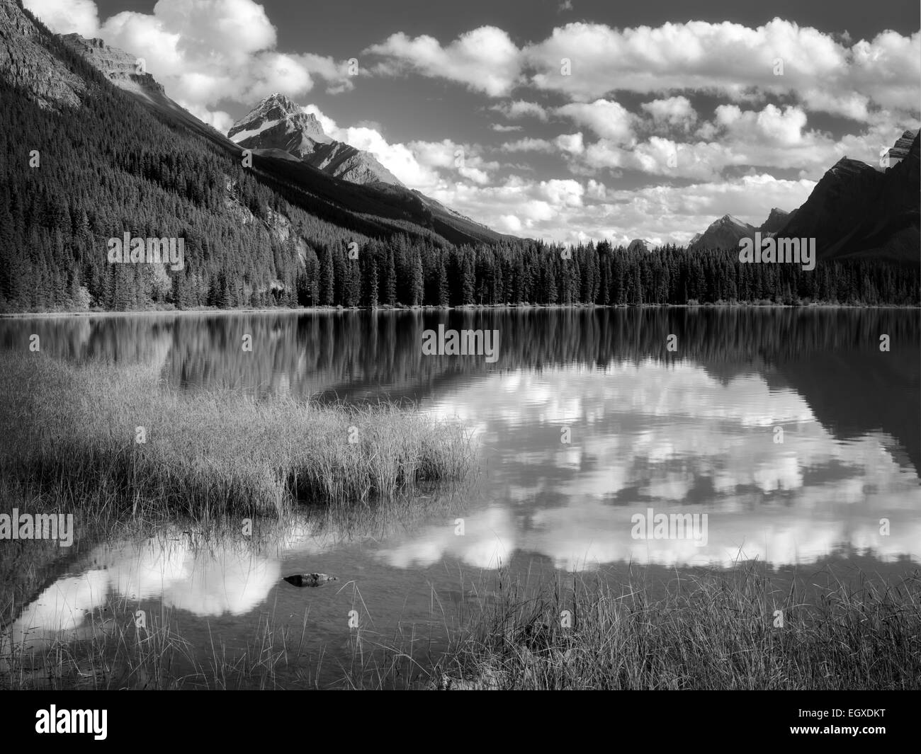 Wolken und Reflexion im Wasservögel Seen. Banff Nationalpark. Alberta. Kanada. Stockfoto