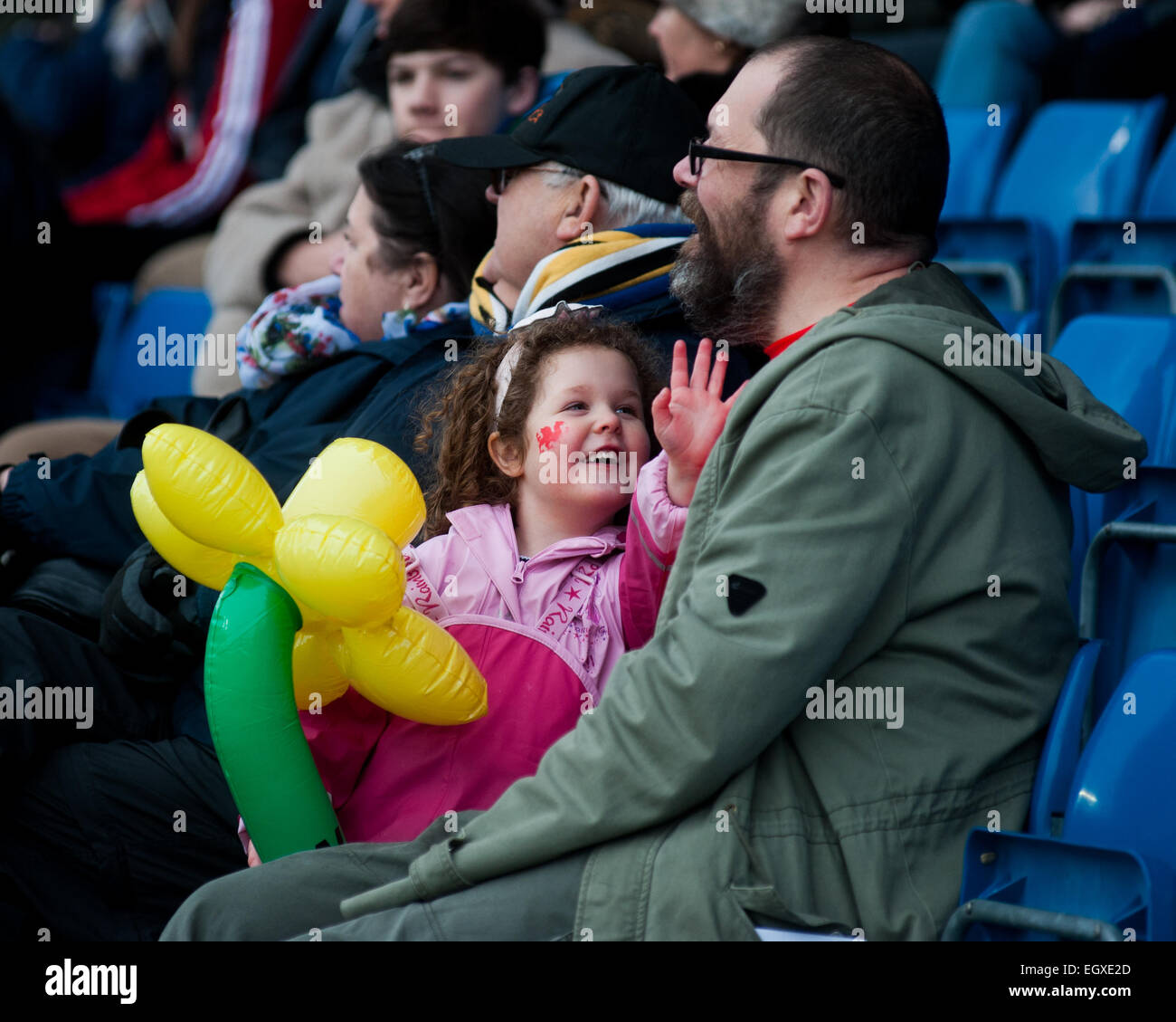 Pix von walisischen Fans bei London Welsh V London Irish Aviva Premiership Rugby match am St. Davids Day (1. März 2015) Stockfoto