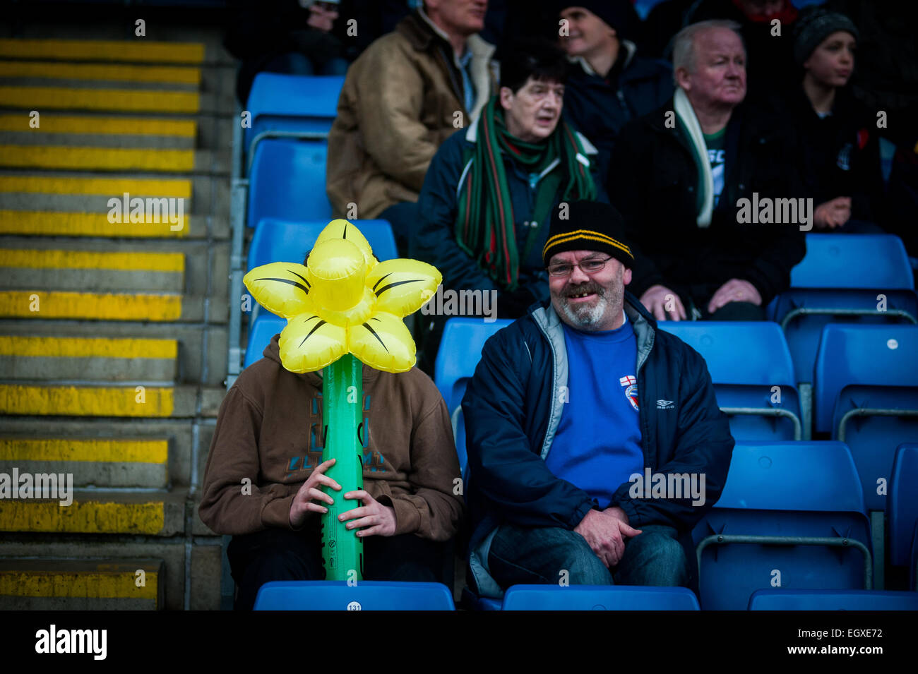 Pix von walisischen Fans bei London Welsh V London Irish Aviva Premiership Rugby match am St. Davids Day (1. März 2015) Stockfoto