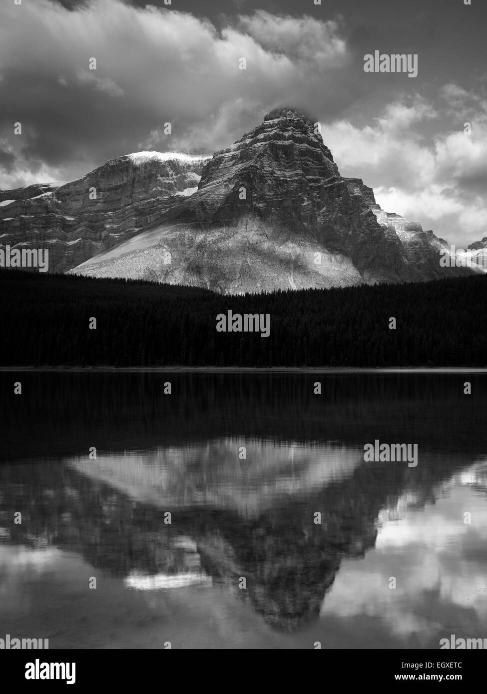 Wasservögel Seen und Berge mit Reflexionen. Banff Nationalpark, Alberta Kanada. Stockfoto