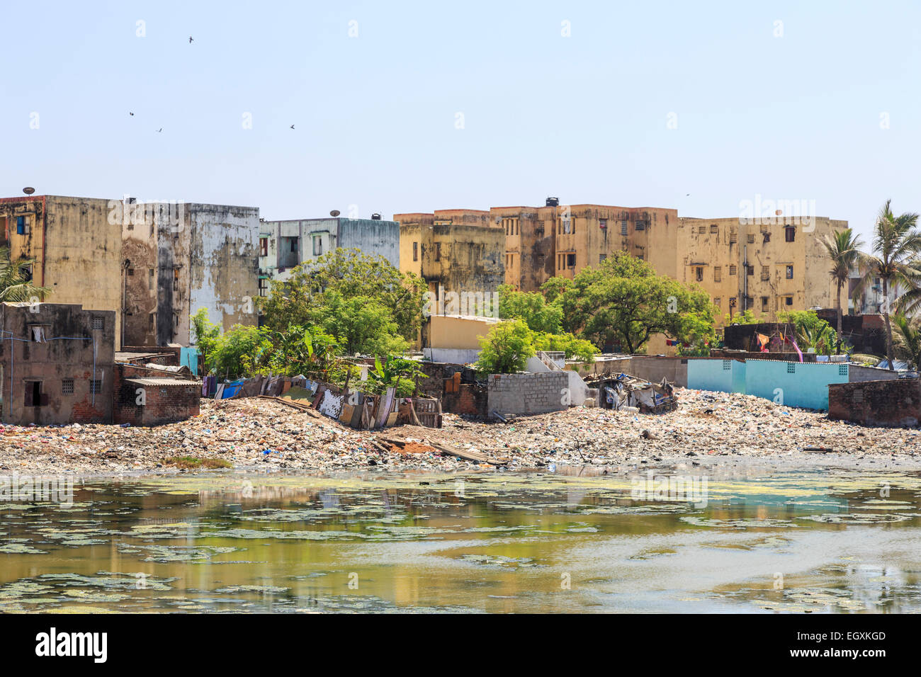 Armut in der Dritten Welt Lifestyle: Schlechte Slum mietskasernen am Ufer des verschmutzten Adyar Flussmündung in Chennai, Tamil Nadu, Südindien Stockfoto