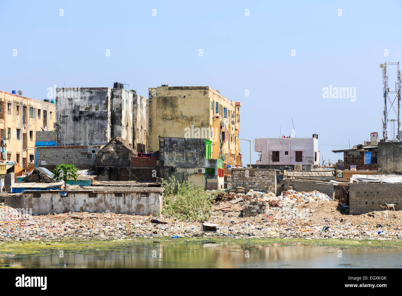 Armut in der Dritten Welt Lifestyle: Schlechte Slum mietskasernen am Ufer des verschmutzten Adyar Flussmündung in Chennai, Tamil Nadu, Südindien Stockfoto