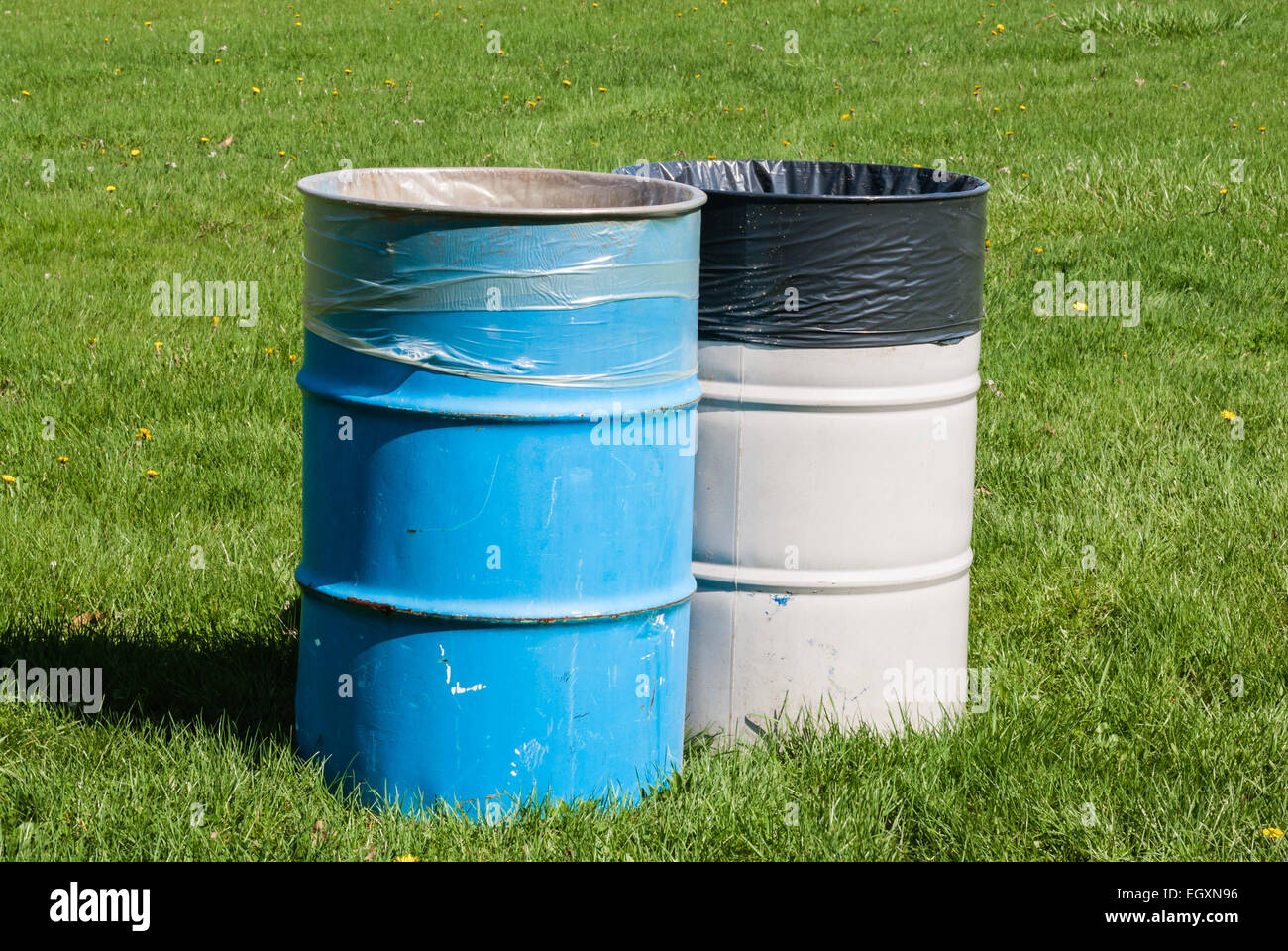 Zwei große blaue und graue Mülltonnen auf dem grünen Rasen mit Mülltüten im Inneren. Stockfoto