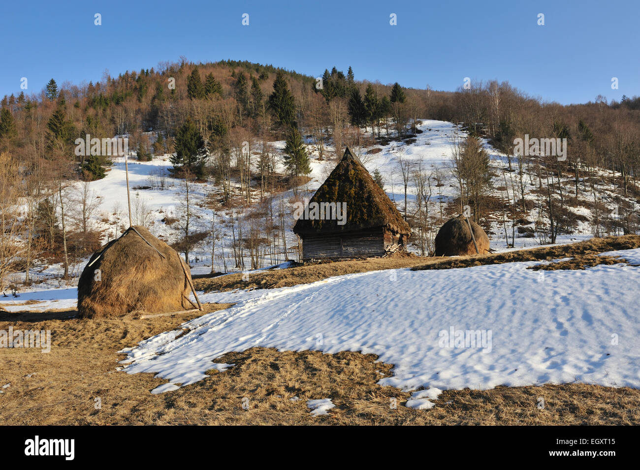 Hölzerne Hütte und Heuhaufen, Apuseni-Gebirge, Huedin Region, Rumänien Stockfoto