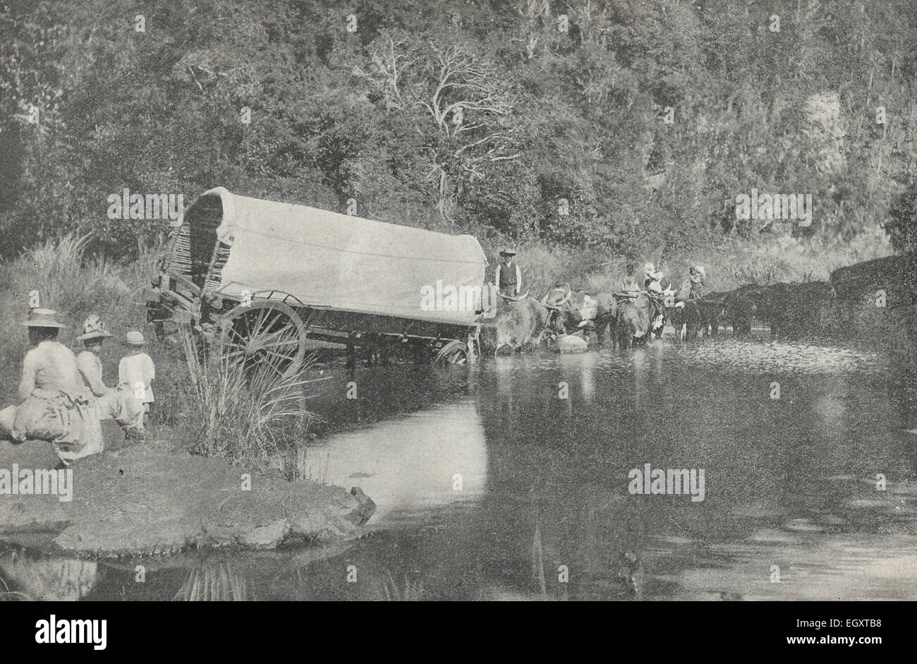 Ein Reisender Schwierigkeiten. Diese sperrigen Wagen ist die Überquerung der Ford und wurde nicht gut verwaltet, Südafrika, ca. 1895 Stockfoto