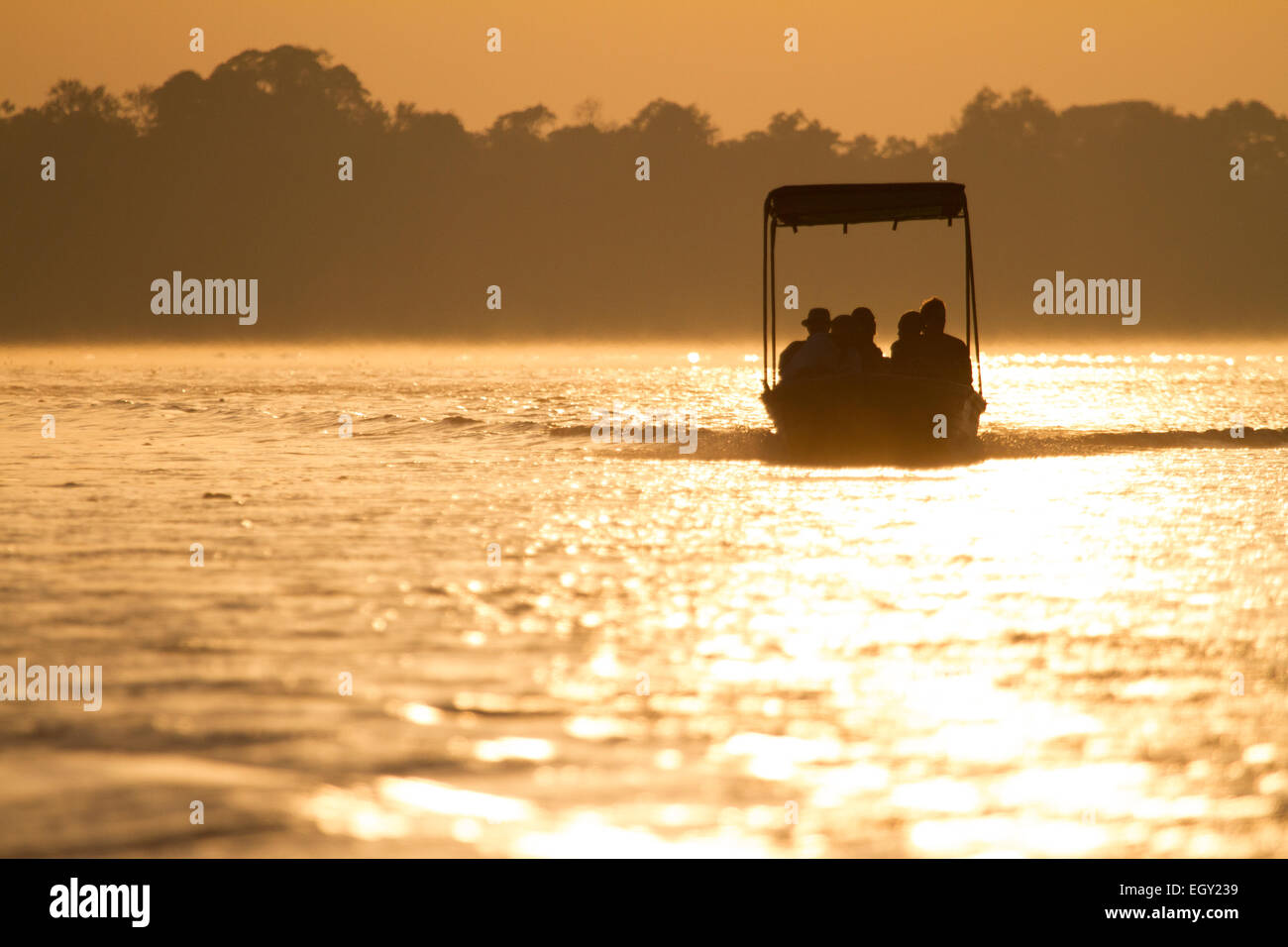 Boot-Safari in das Selous Game Reserve. Stockfoto