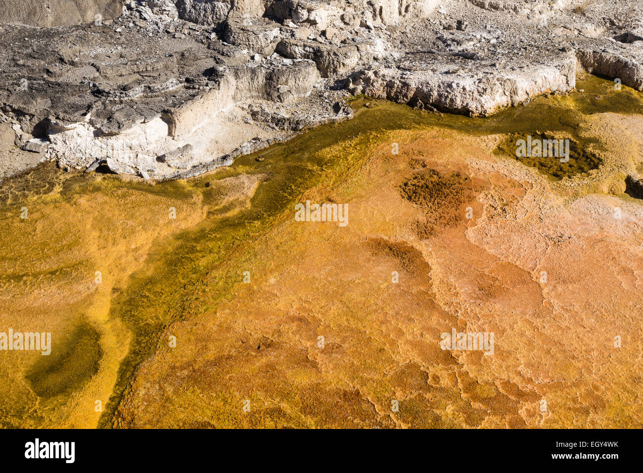 Yellowstone-Nationalpark, Wyoming, Vereinigte Staaten, 20. September 2014 – geothermische Aktivität in Yellowstone schnitzen interessante pa Stockfoto