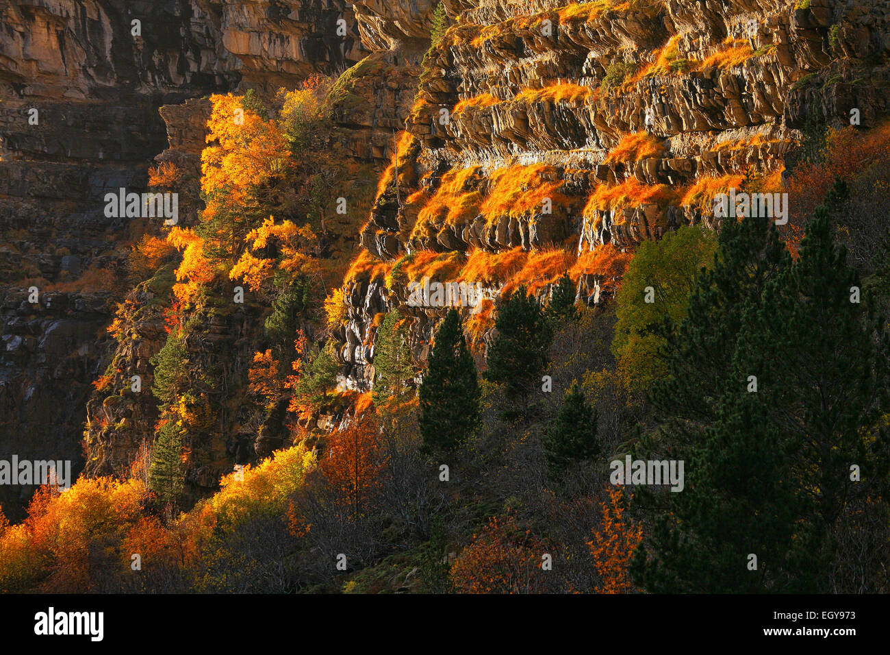 Spanien, Ordesa Nationalpark, Felswand Stockfoto