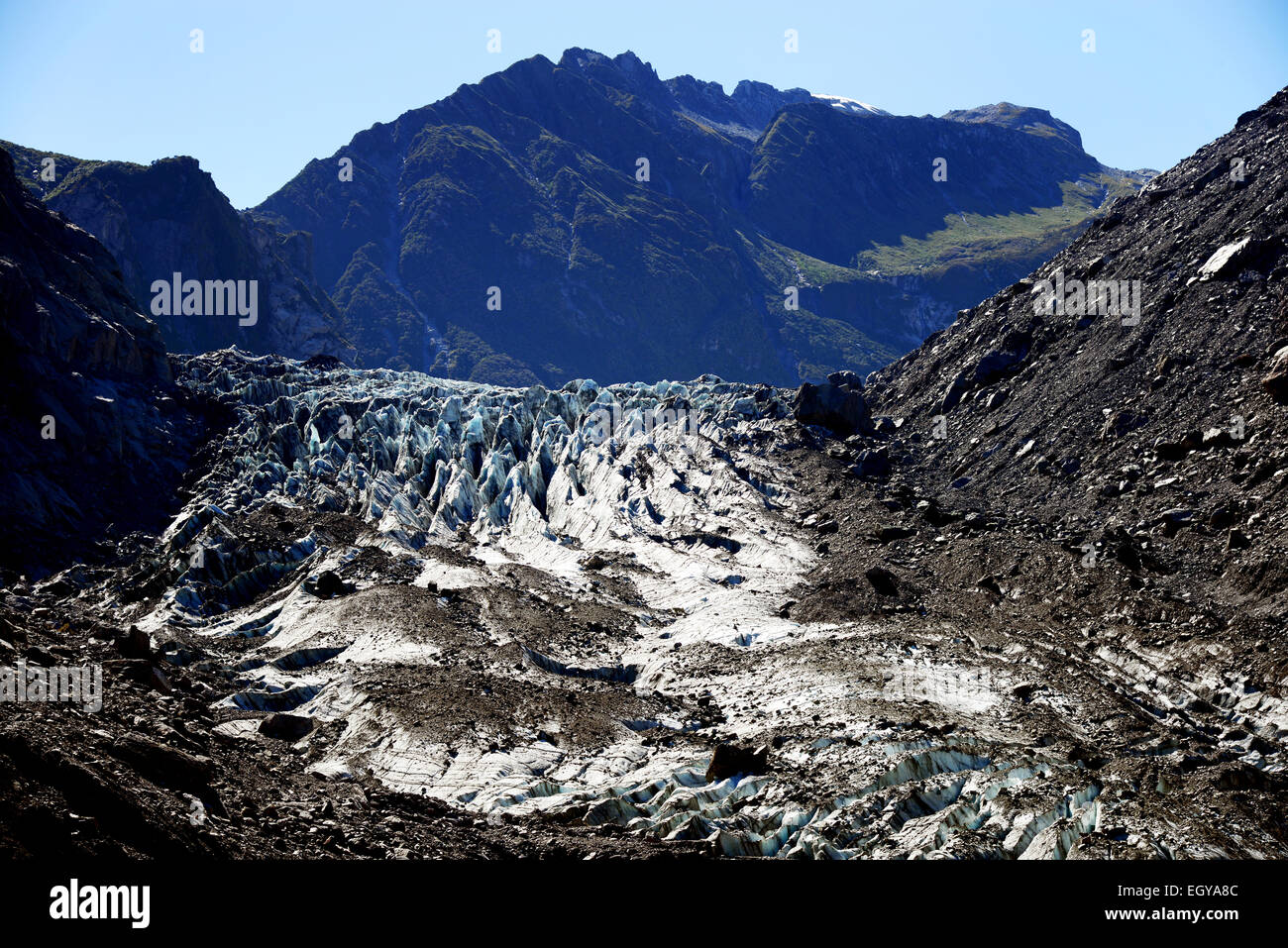 Der Fox-Gletscher im Westland-Nationalpark, Südinsel, Neuseeland Stockfoto