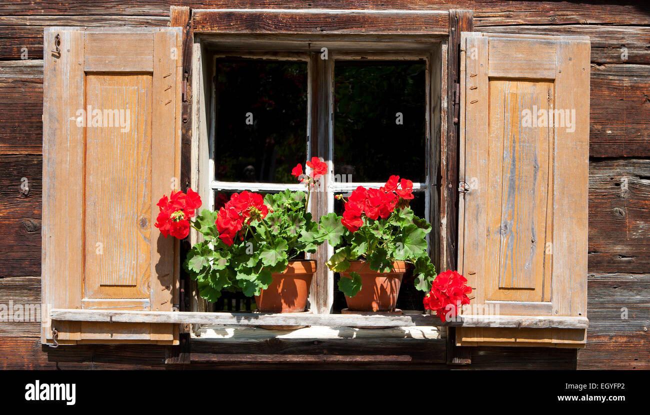 Fenster mit Geranien, Bauernhaus, Freilichtmuseum