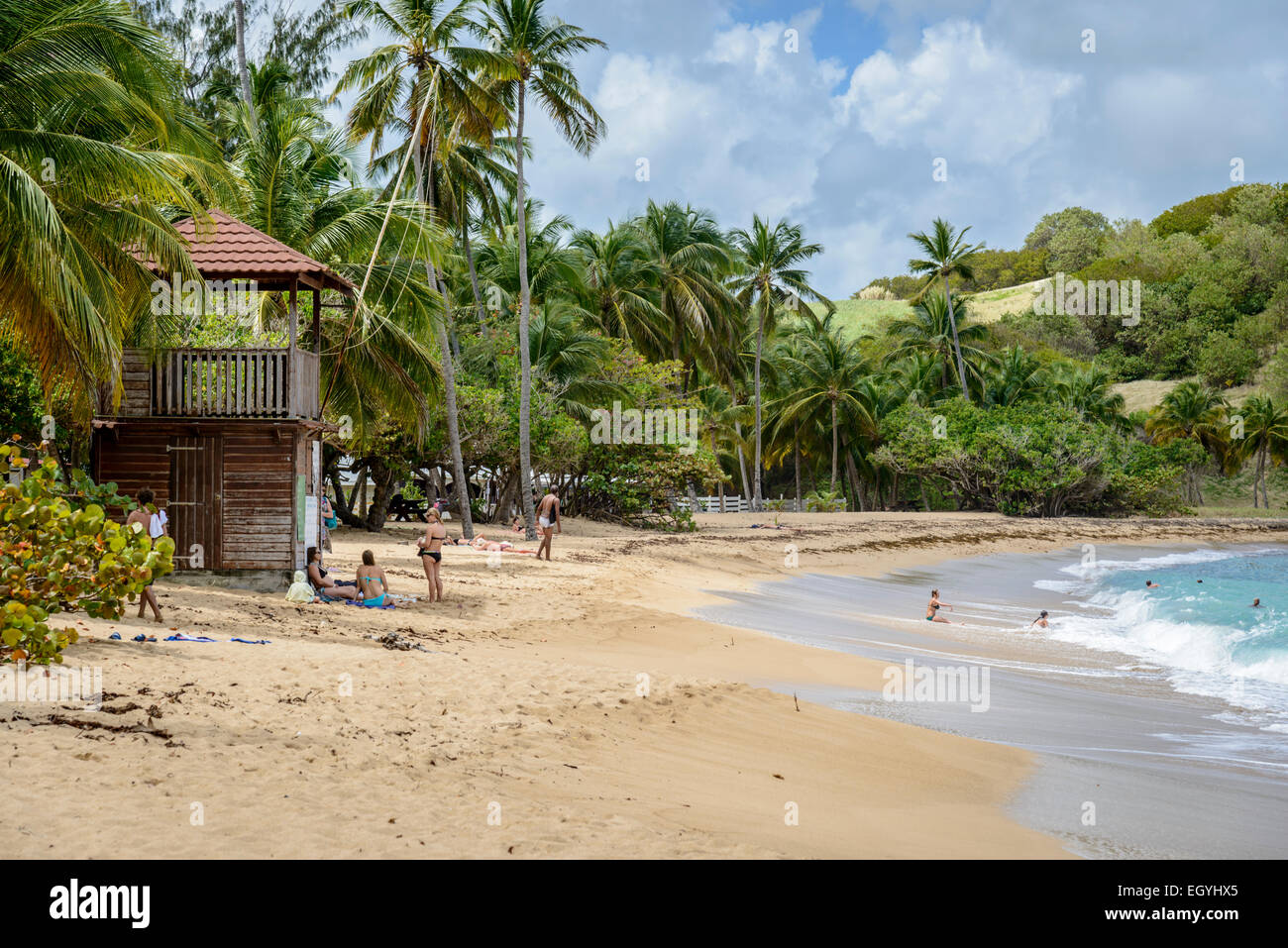 Einen schönen, einsamen Strand mit der Brandung Rollen auf der Karibikinsel am Anse l ' Etang, Tartane, Martinique, Caribbean Stockfoto