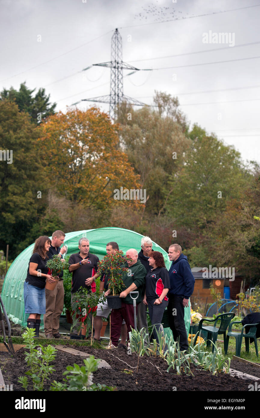 Mitglieder des Vereins Clifton Chili aus Bristol treffen in Dovercourt Kleingärten UK Stockfoto