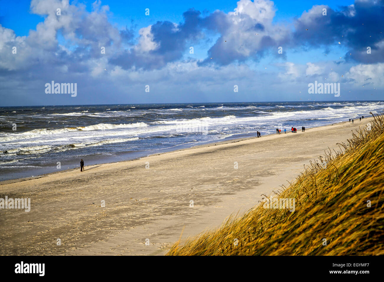 Deutschland, Sylt, Westerland, Spaziergänger am Strand im winter Stockfoto