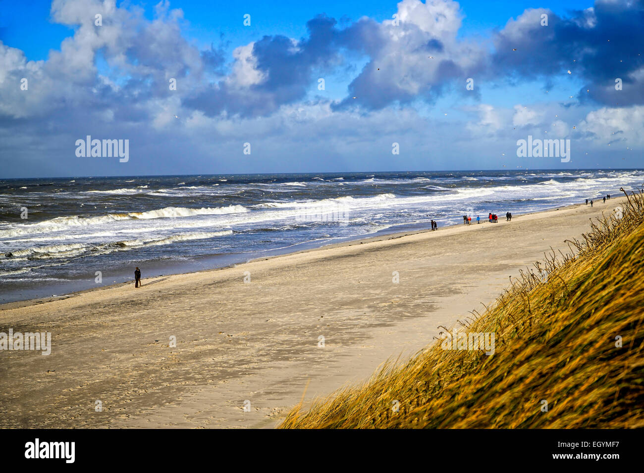 Sylt westerland in winter germany -Fotos und -Bildmaterial in hoher ...