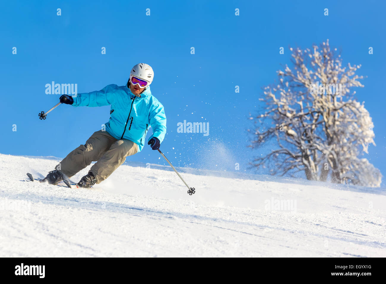 Skifahrer mit hoher Geschwindigkeit auf der Piste im weichen Schnee an einem sonnigen Tag auf einem Hintergrund von Bäumen und wolkenlosen blauen Himmel.  Geringe Schärfentiefe fiel Stockfoto