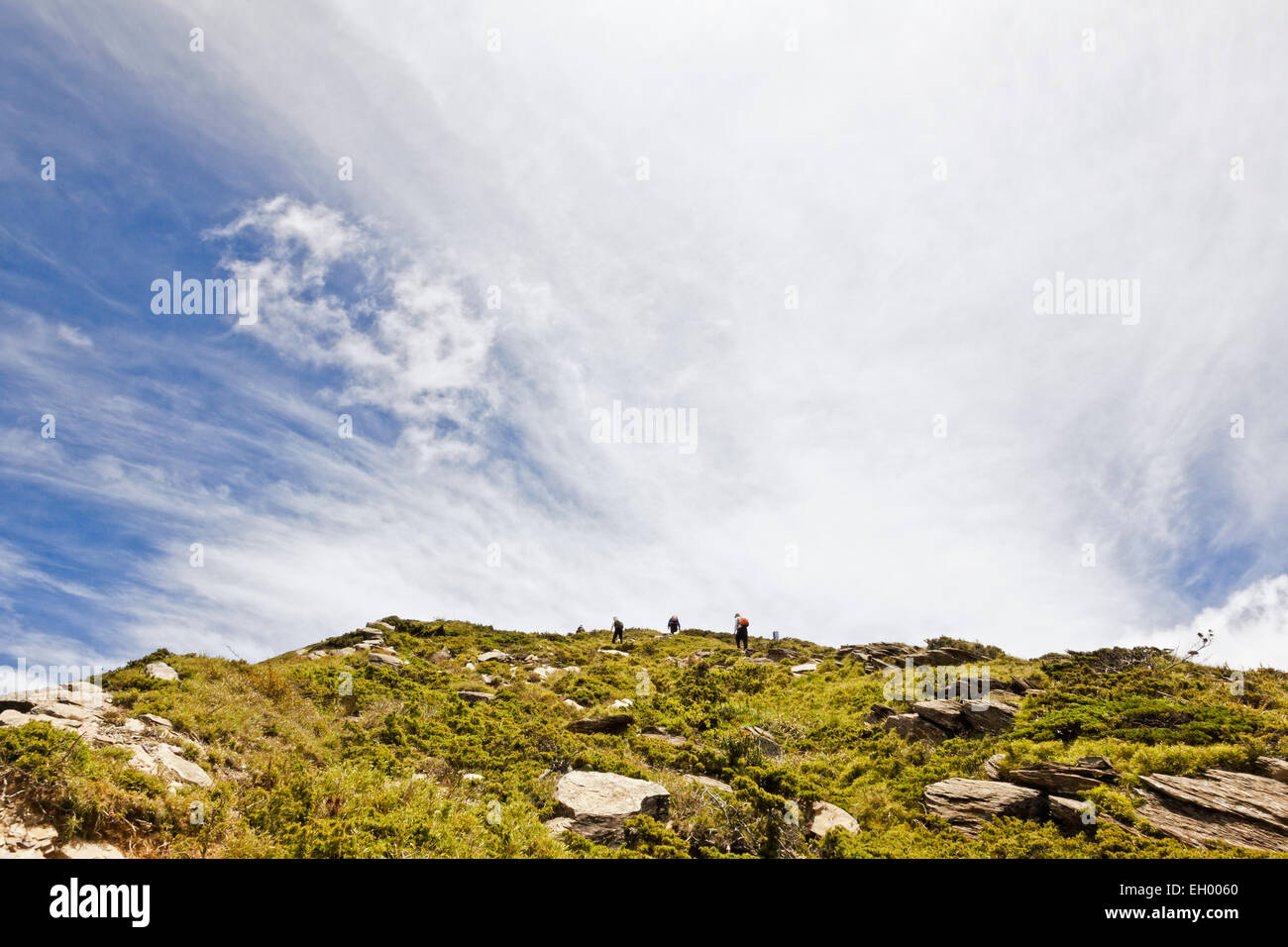 Taiwan, Wanderweg zum Hehuan North Peak Hehuanshan Mountains Stockfoto