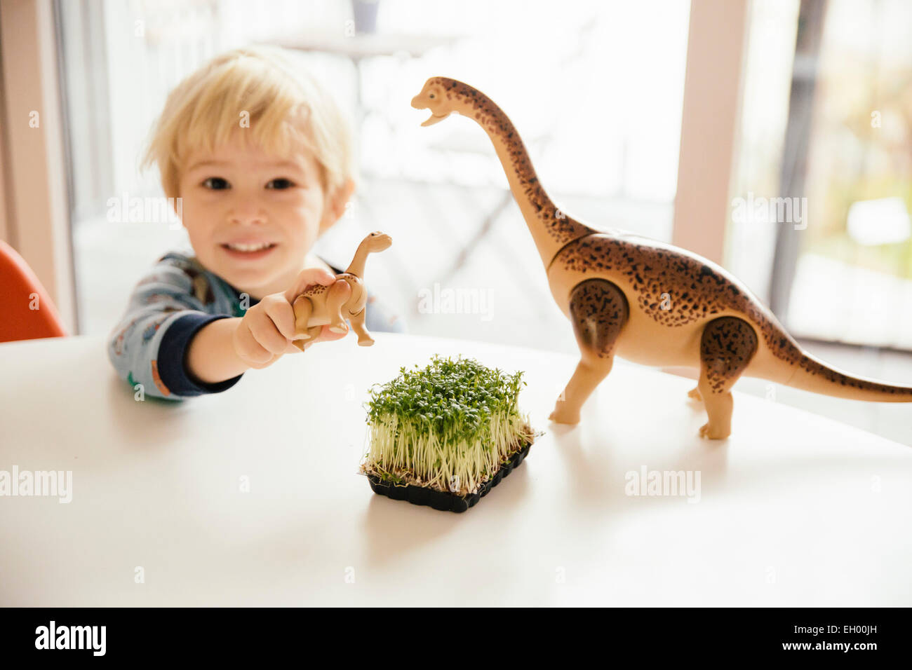 Kleiner Junge spielt mit Spielzeug Dinosaurier und Schachtel Kresse auf ...