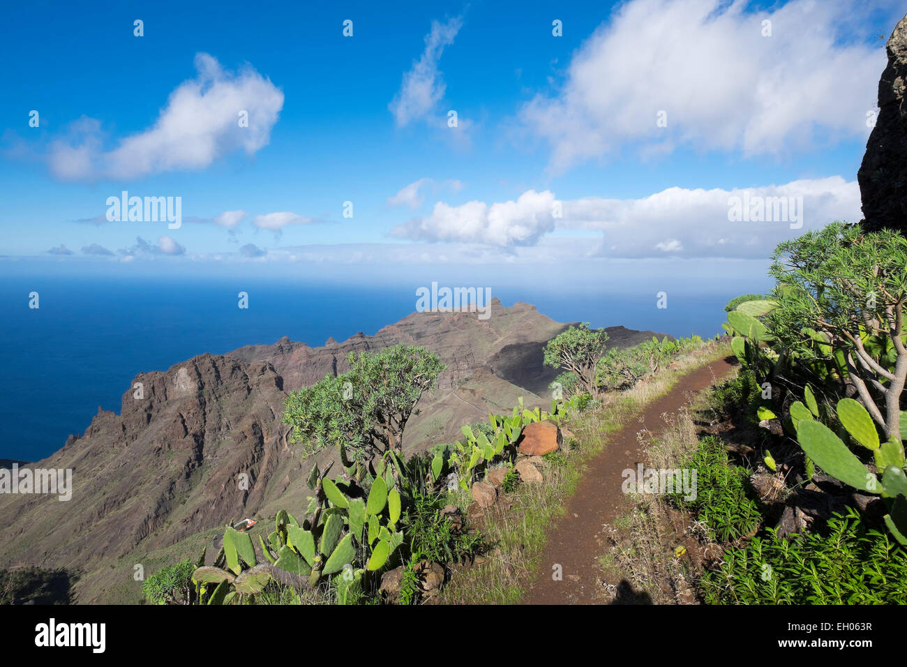 Spanien, Kanarische Inseln, La Gomera, Valle Gran Rey, trail in Lomo del Carreton, Tejeleche Berge Stockfoto