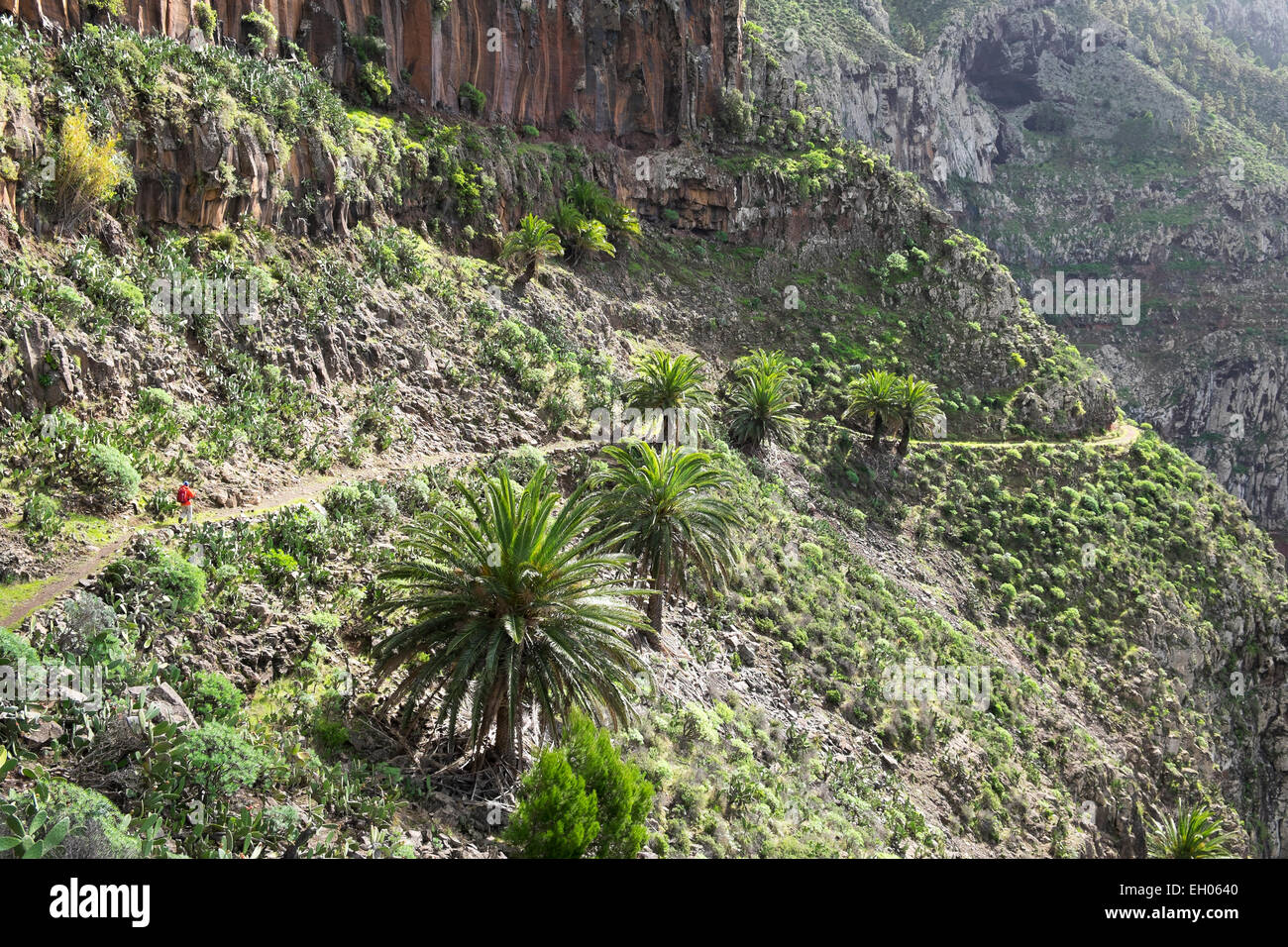 Spanien, Kanarische Inseln, La Gomera, Valle Gran Rey, Lomo del Carreton in der Nähe von Arure, Wanderer Stockfoto