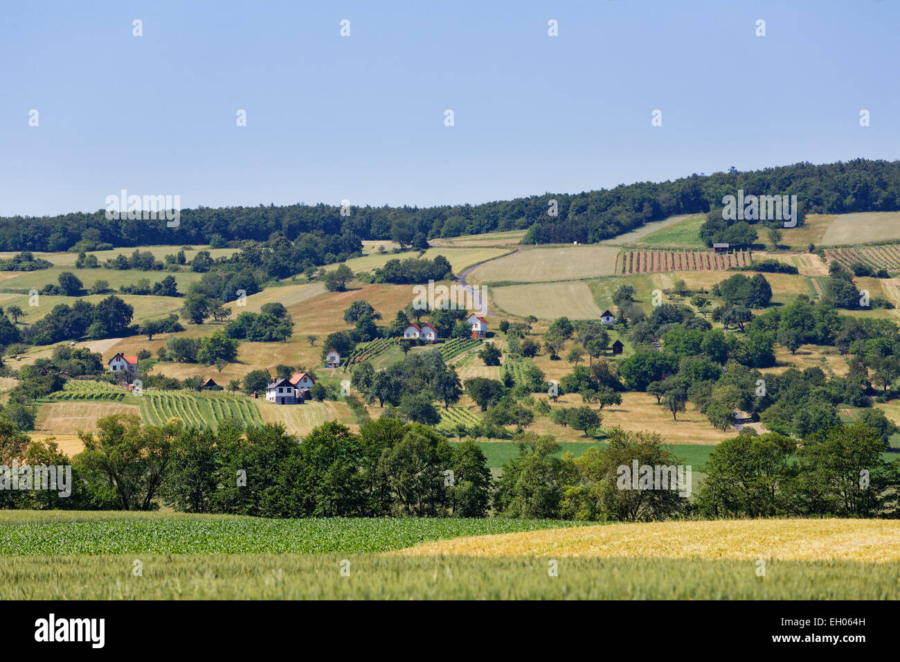Österreich, Burgenland, Markt Neuhodis, Felder Landschaft im Naturpark Geschriebenstein Stockfoto