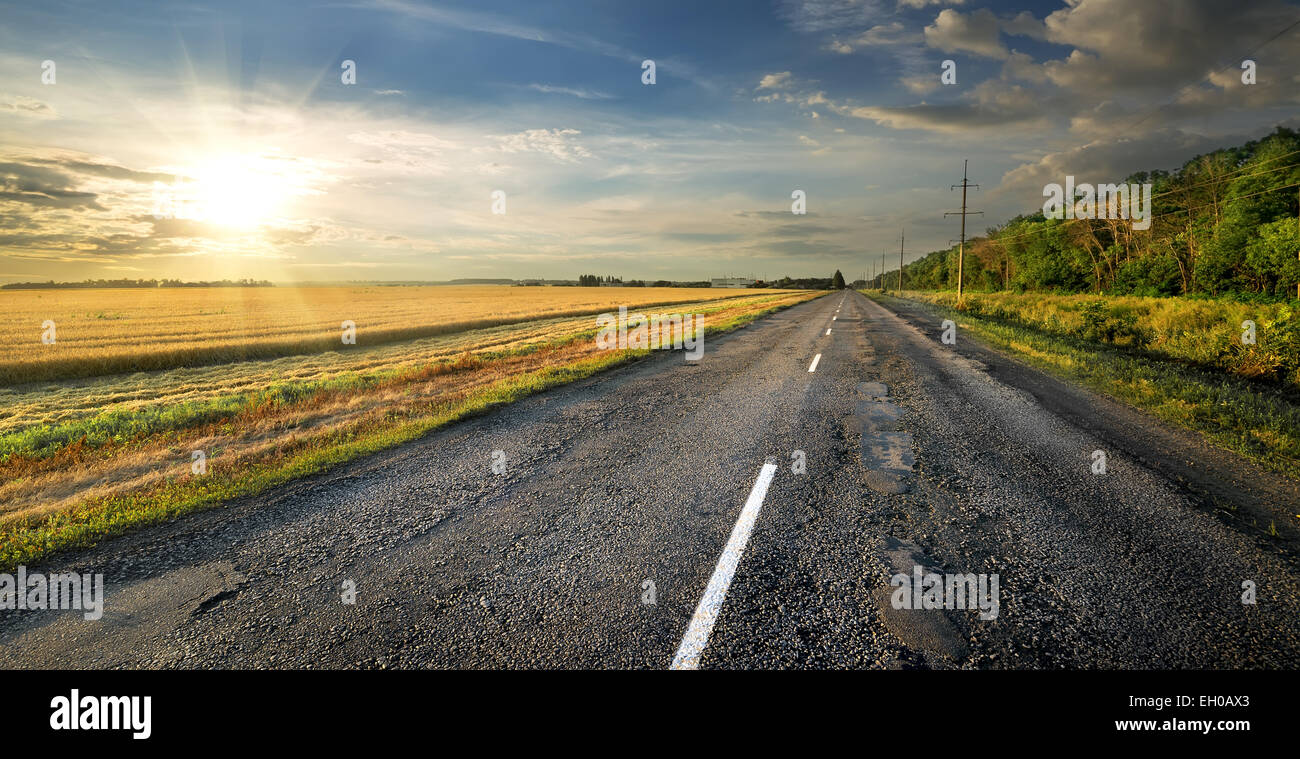 Straßen- und Weizenfeld nahe am Wald Stockfoto