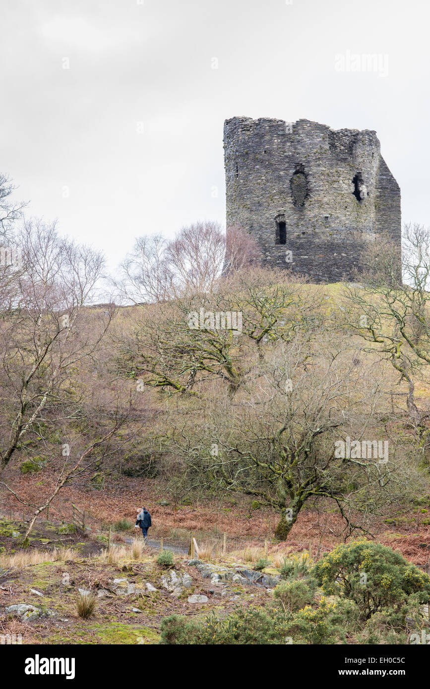 Der Turm von Dolbardan Burg (Llanberis, Wales), die im frühen dreizehnten Jahrhundert gebaut wurde. Stockfoto