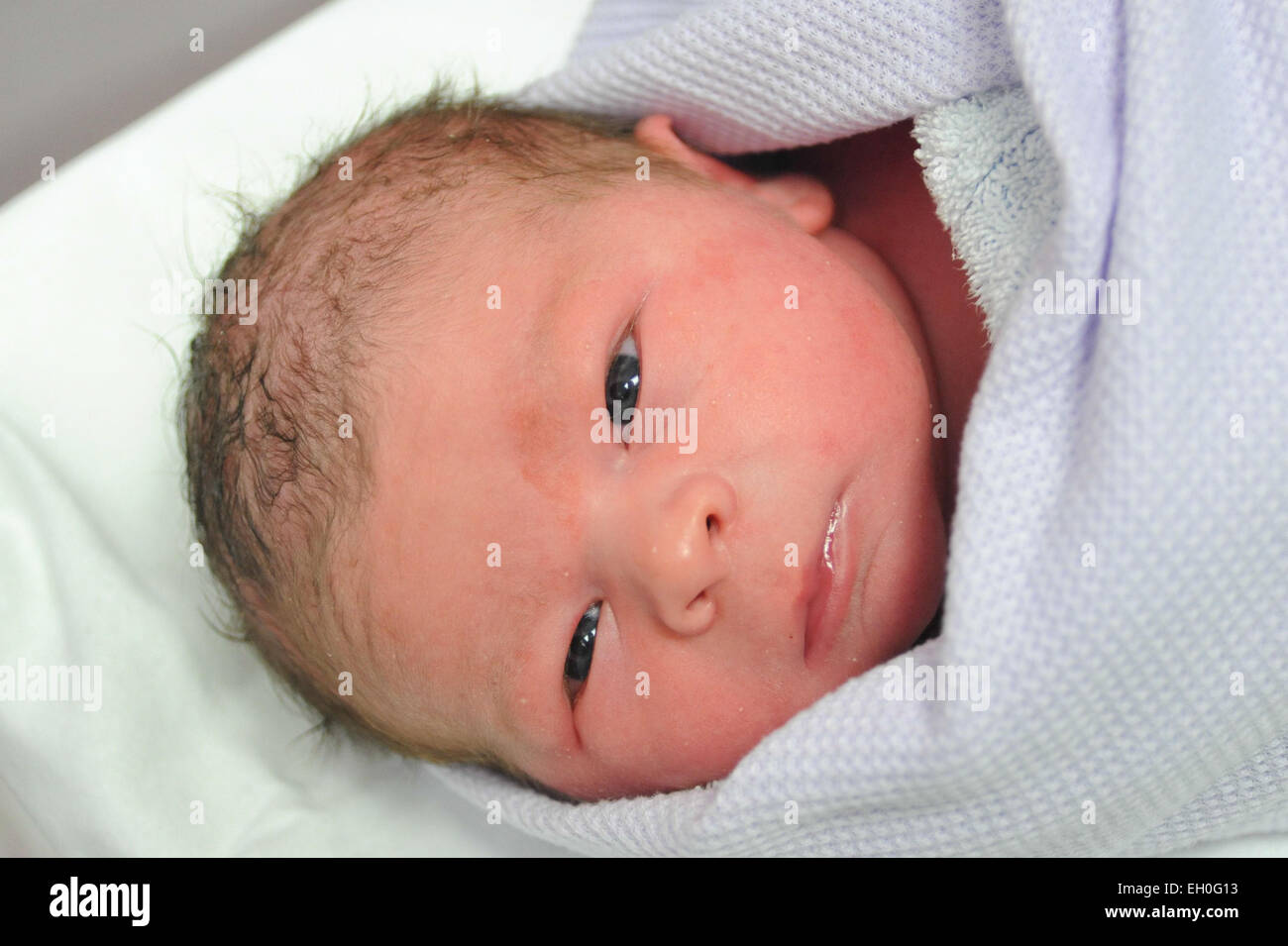 Ein neugeborenes Baby gepuckt einem Krankenhaus Decke Momente nach der Geburt Stockfoto