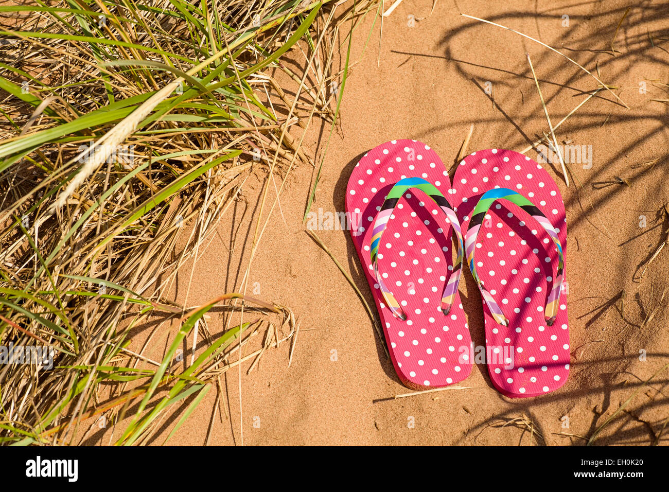 Rosa Flip Flops am Strand. Stockfoto