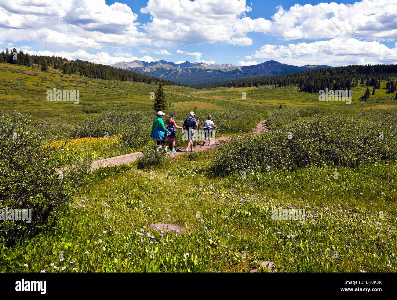 Eine Familie begibt sich auf eine Hochland Spaziergang auf einem der vielen Wanderwege Einfädeln Bereich Schrein Pass Summit County, Stockfoto