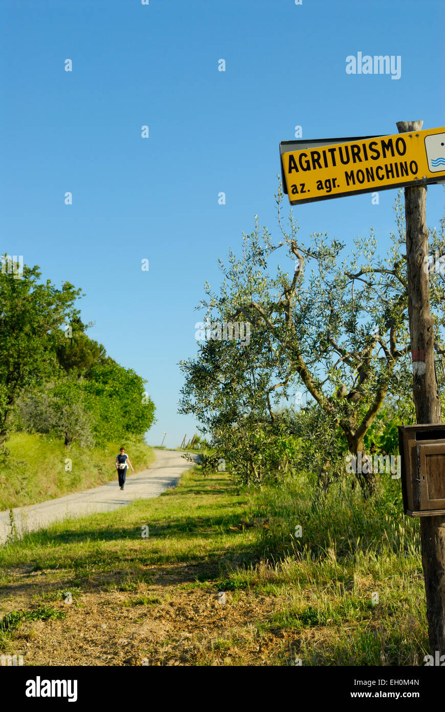 Landstraße, die durch Ackerland mit Agrotourismus zu unterzeichnen, in der Nähe von San Gimignano, Toskana, Italien Stockfoto