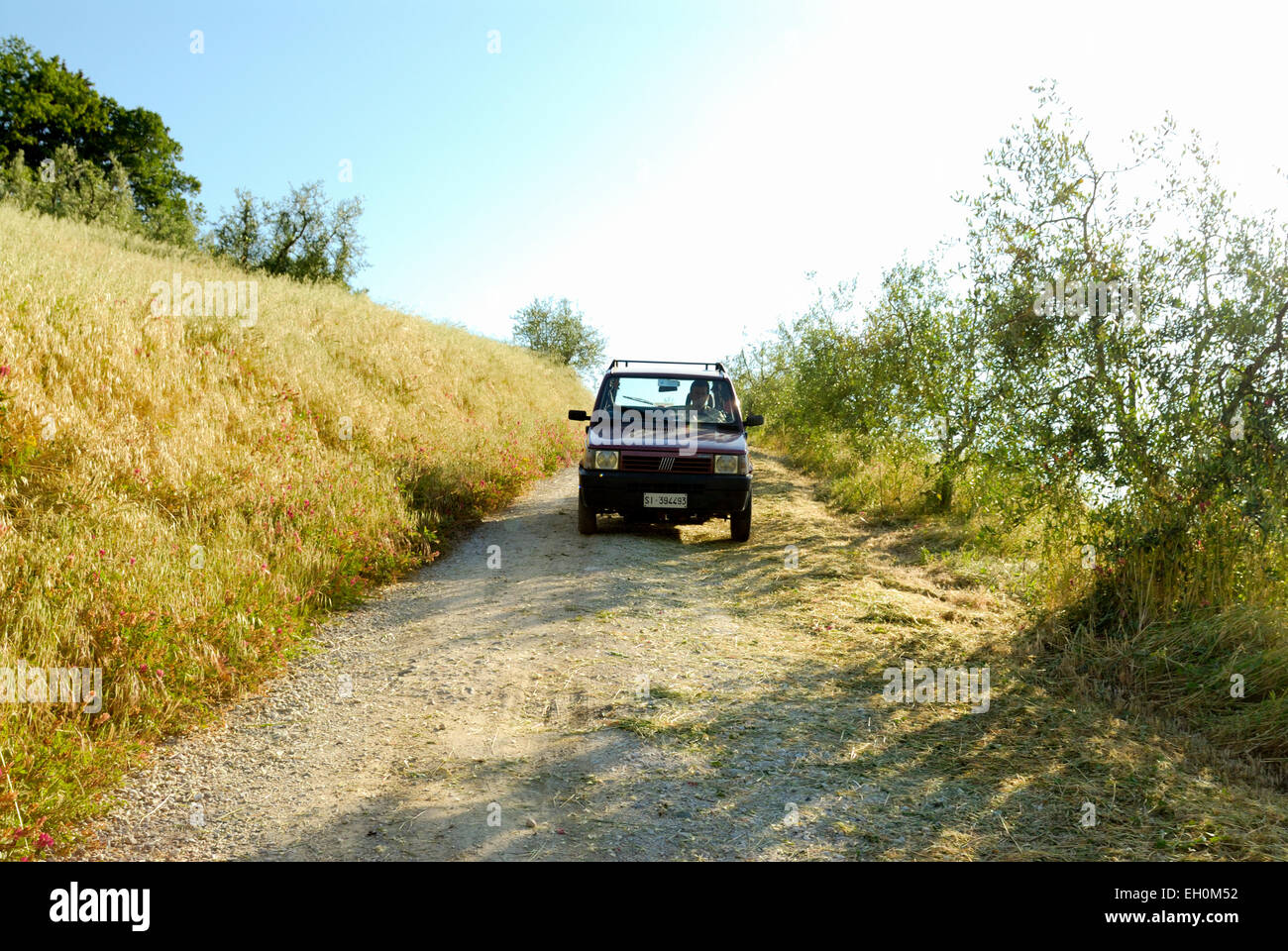 Ein kleines Auto auf der Straße, Toskana, Italien Stockfoto